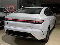 BYD Destroyer 05
